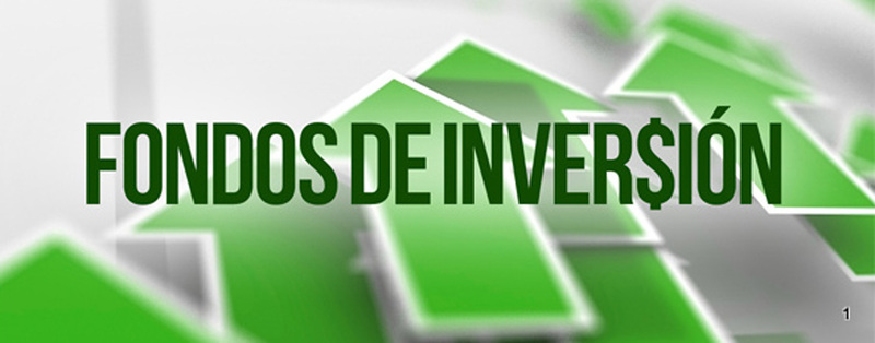 Imagen de sección